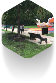 completed-projects__image